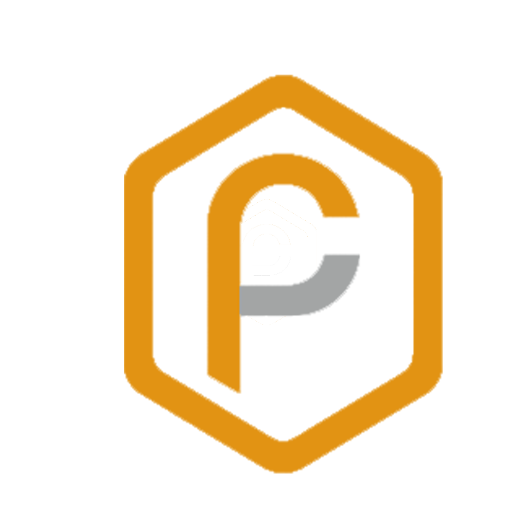 Logo Conception Paradigme